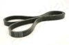 ASHIKA 112-4PK1040 V-Ribbed Belts